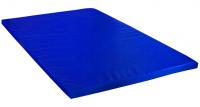 Мат гимнастический школьный 200х125х6см винилискожа