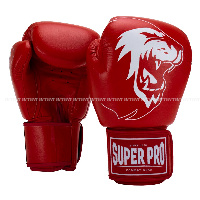 Перчатки для бокса Super Pro SPBG110