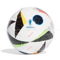 Футзальный мяч Adidas Euro 24 Pro Sala IN9364